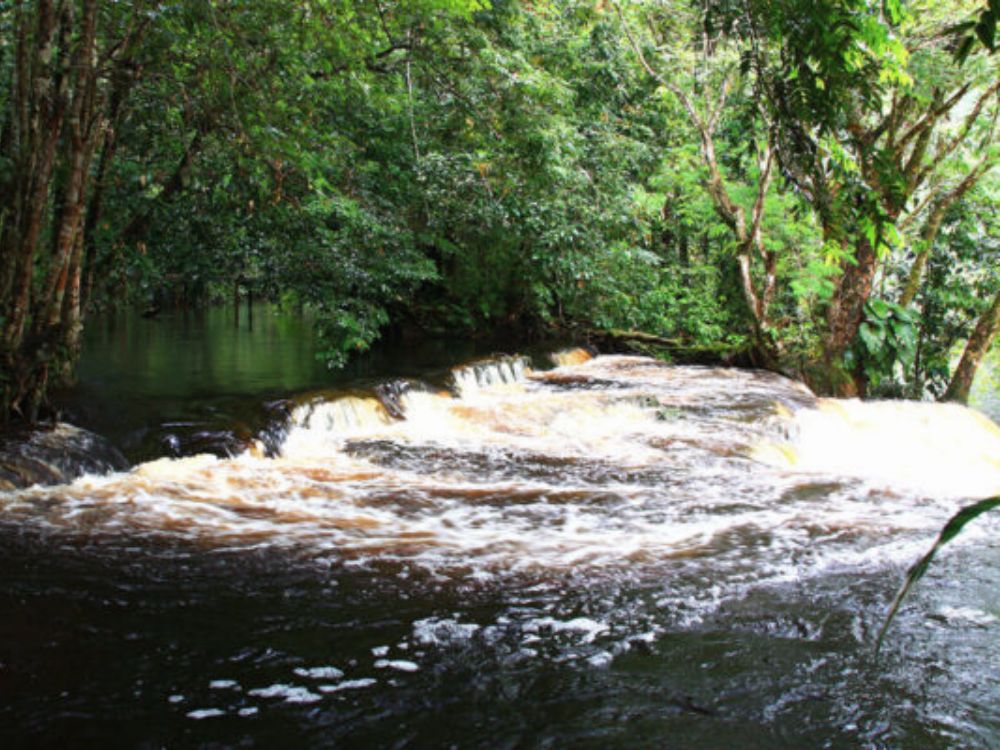 Cachoeiras da Amazônia! Contemple vistas espetaculares e se conecte com o meio ambiente! 2