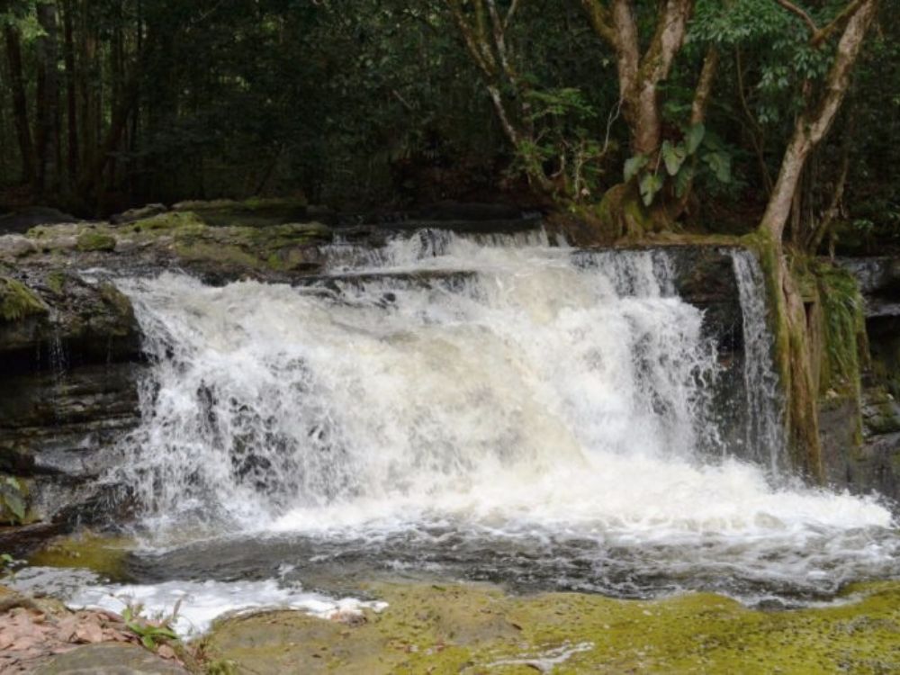 Cachoeiras da Amazônia! Contemple vistas espetaculares e se conecte com o meio ambiente! 1
