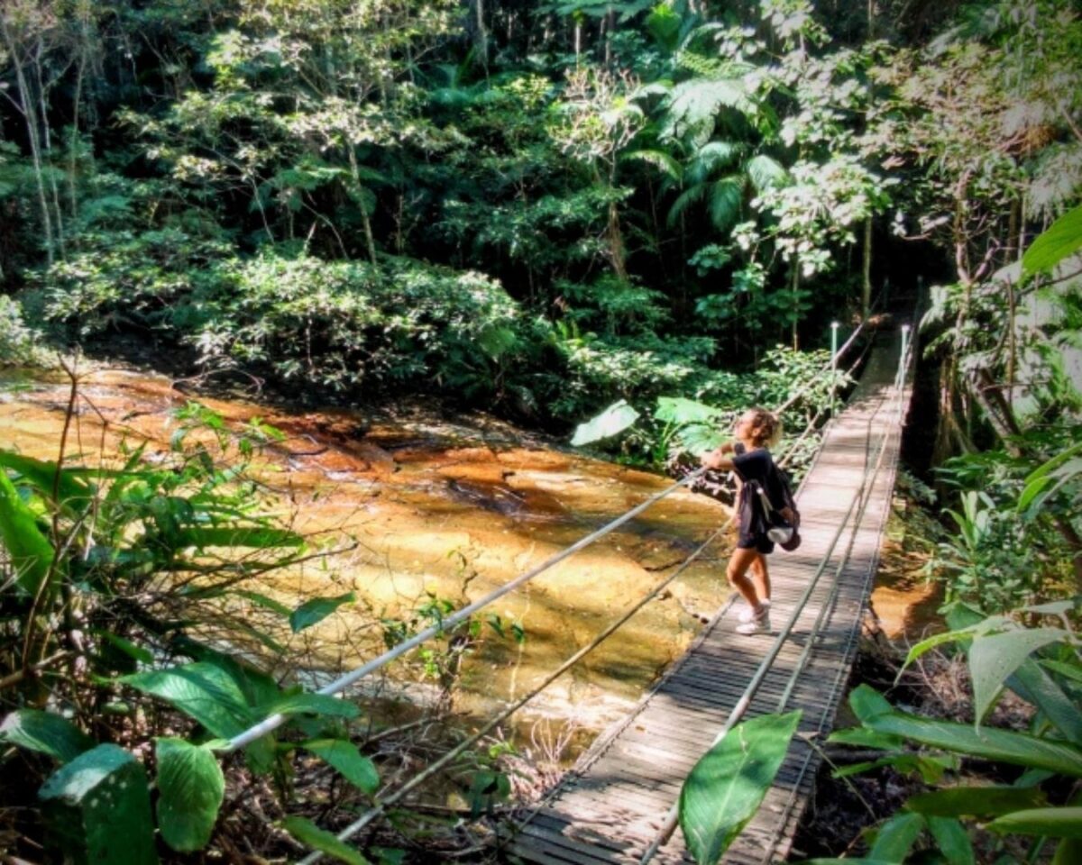Aventura e História na Floresta da Tijuca! Conheça o parque nacional mais visitado do Brasil! 1