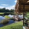 Vivência na Amazônia! Conheça o maior bioma brasileiro em uma aventura na selva por 5 dias e 4 noites!