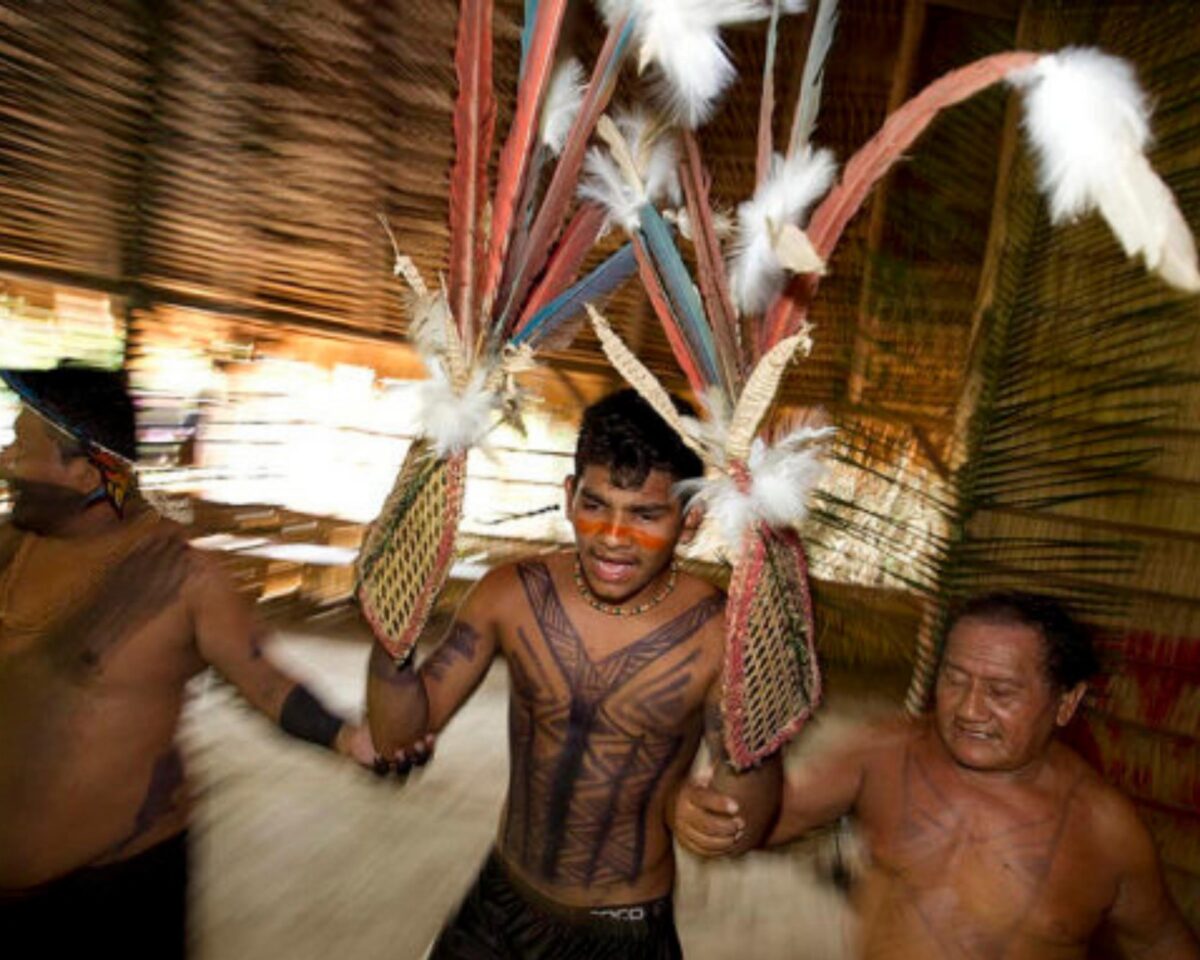 Imersão na Amazônia! Conheça a tribo Sateré Mawé e participe do surpreendente ritual da formiga tucandeira! 2