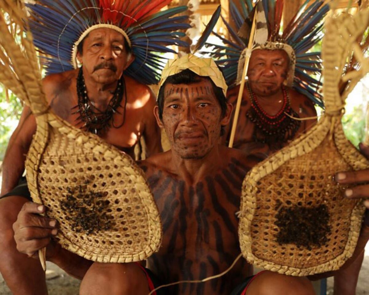Imersão na Amazônia! Conheça a tribo Sateré Mawé e participe do surpreendente ritual da formiga tucandeira! 1