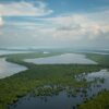 Passeio pelo Arquipélago de Anavilhanas! Se aventure no meio da selva e entre em contato com a natureza!