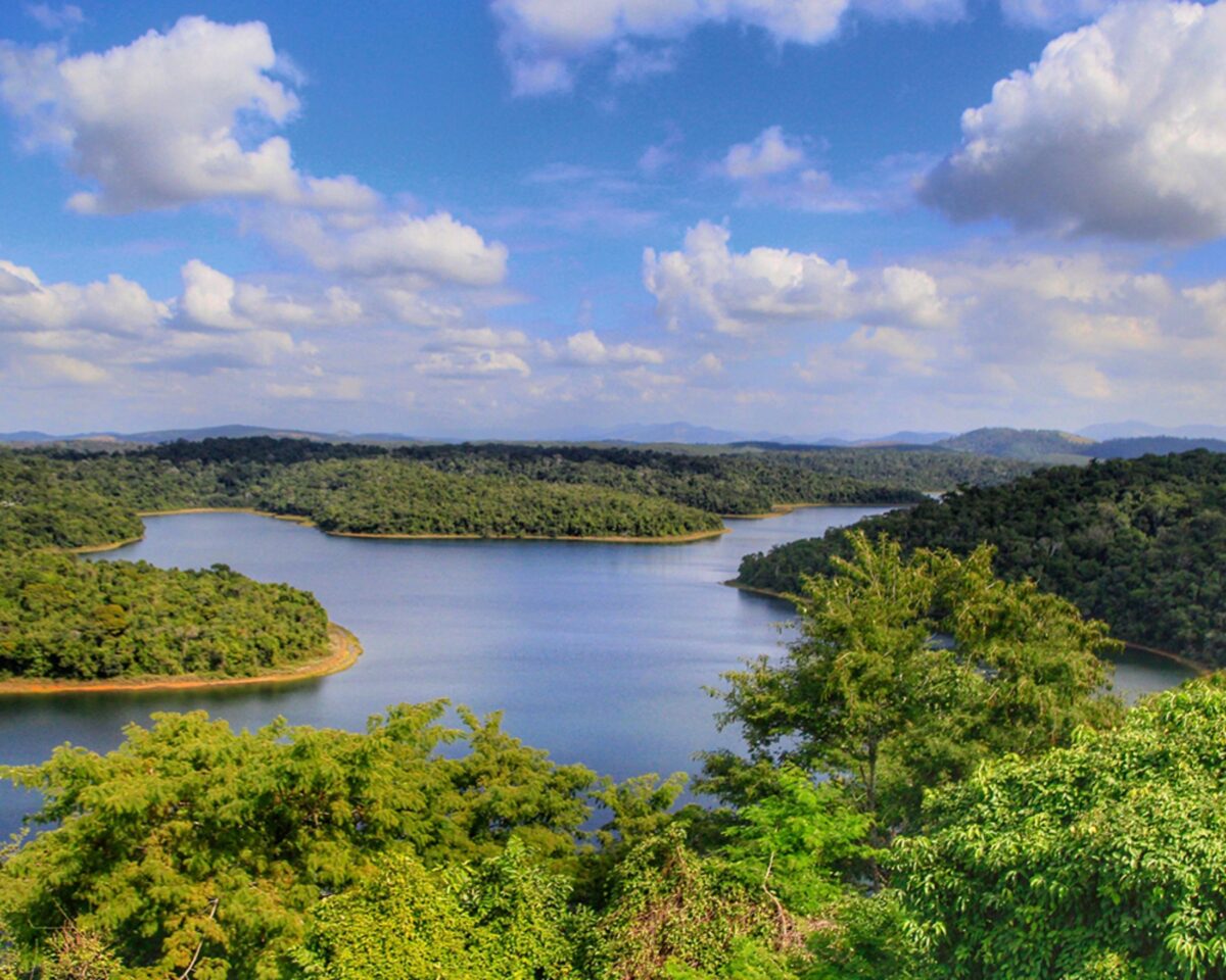 3 dias - Surpreenda-se com a beleza natural do Parque Estadual do Rio Doce! 1