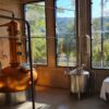 Se aventure no encantador universo da cachaça! Conheça a produção, harmonize e deguste os melhores rótulos!