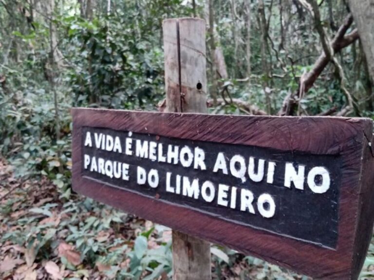 dias em Ipoema Conheça as Cachoeiras o Morro Redondo e o Parque Limoeiro Original Experience