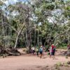 Conheça as beleza Ilha de Santana no Rio Amazonas