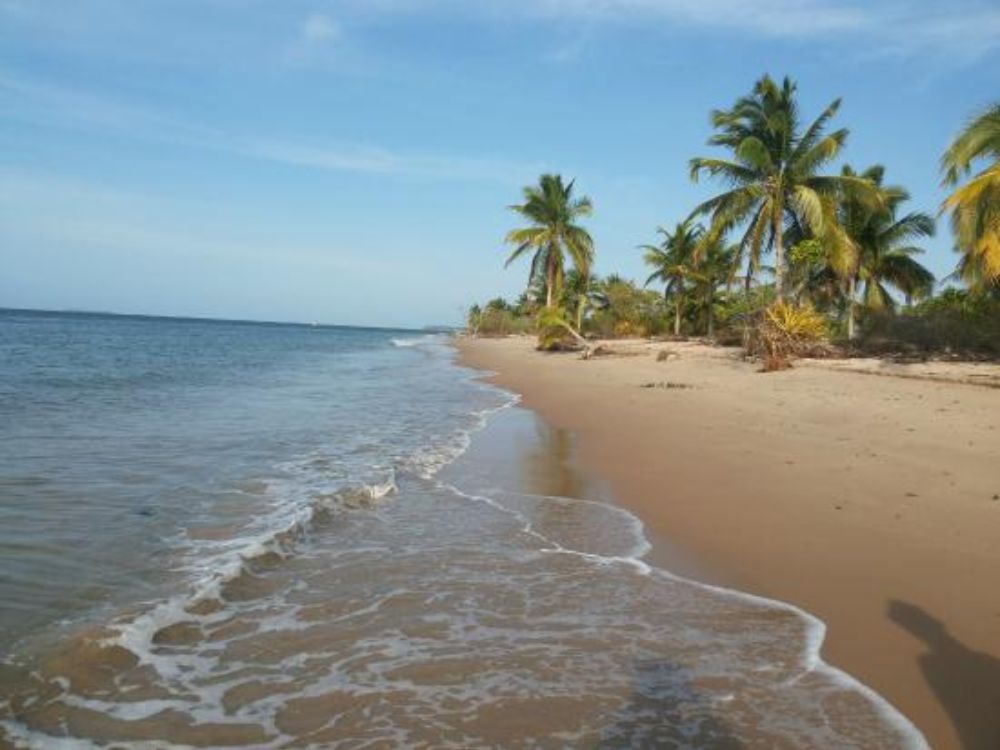 Camamu turismo: passeio pelas ilhas da Baía de Camamu com escuna 4