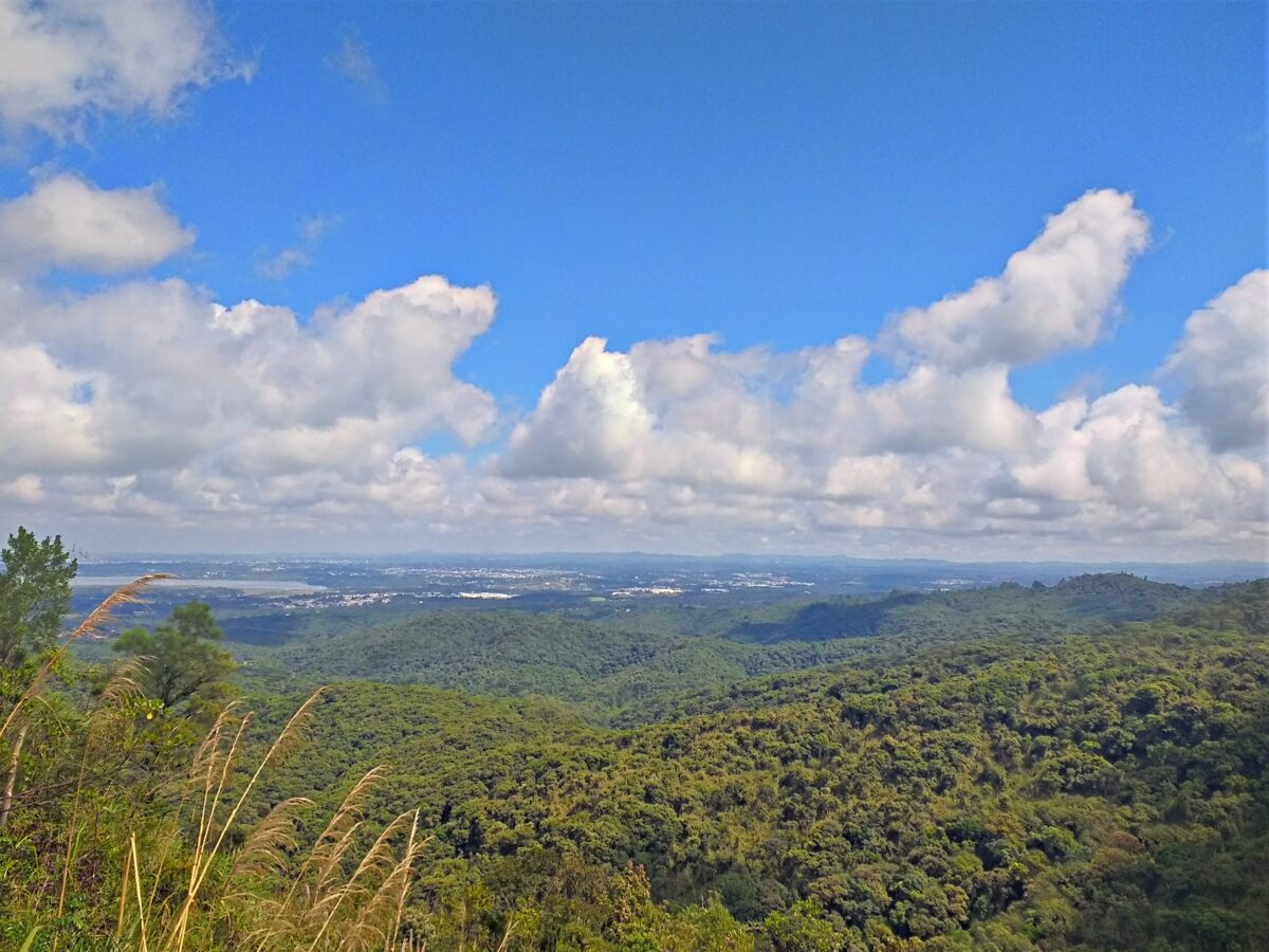 Minha Primeira Montanha + Cachoeira: uma grande aventura com trilha até o Morro Pão de Loth de Curitiba 2