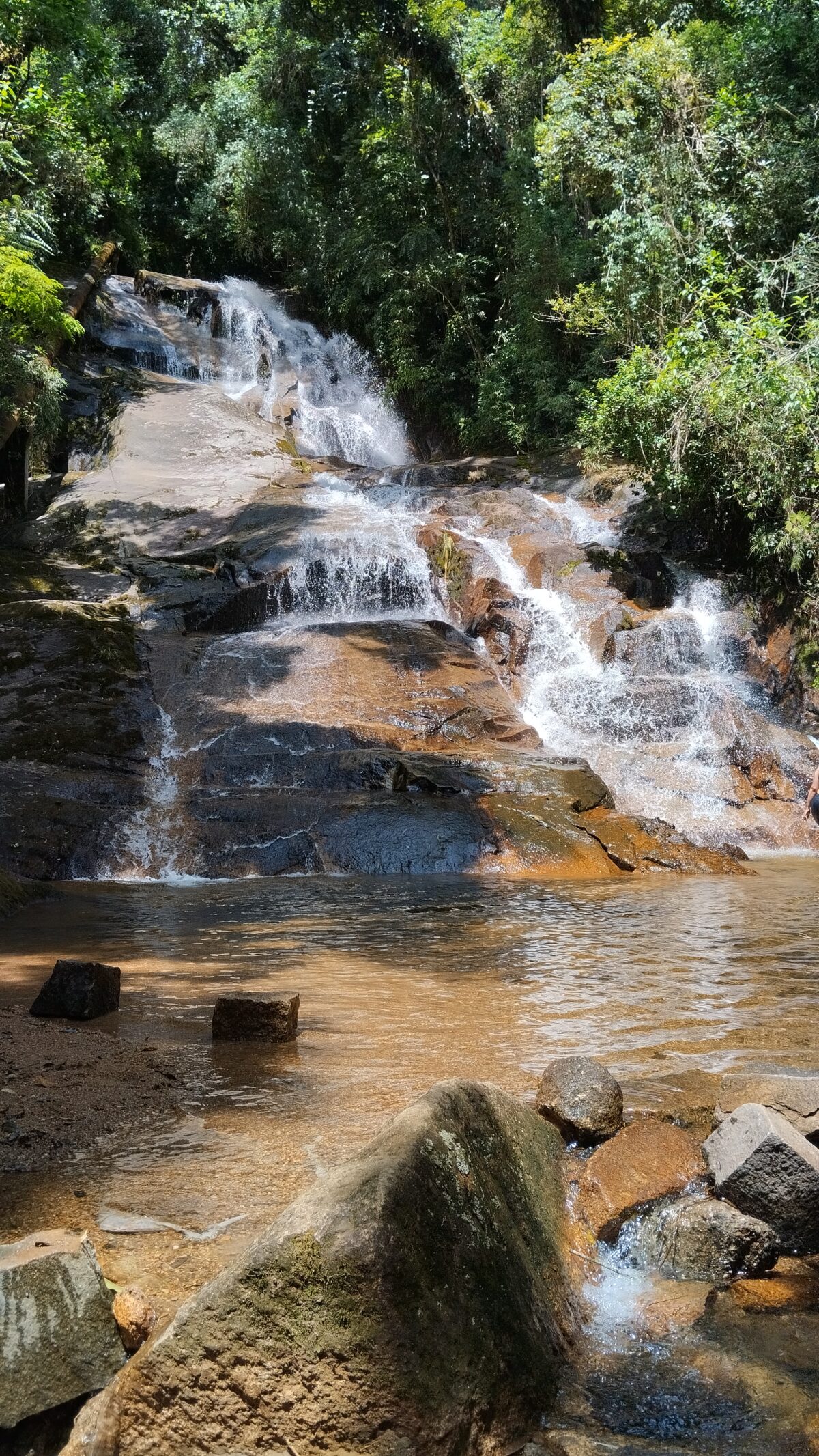 Minha Primeira Montanha + Cachoeira: uma grande aventura com trilha até o Morro Pão de Loth de Curitiba 3