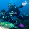 Viva a experiência de realizar um mergulho em Fernando de Noronha
