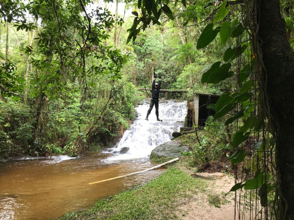 jogos de sobreviver na floresta