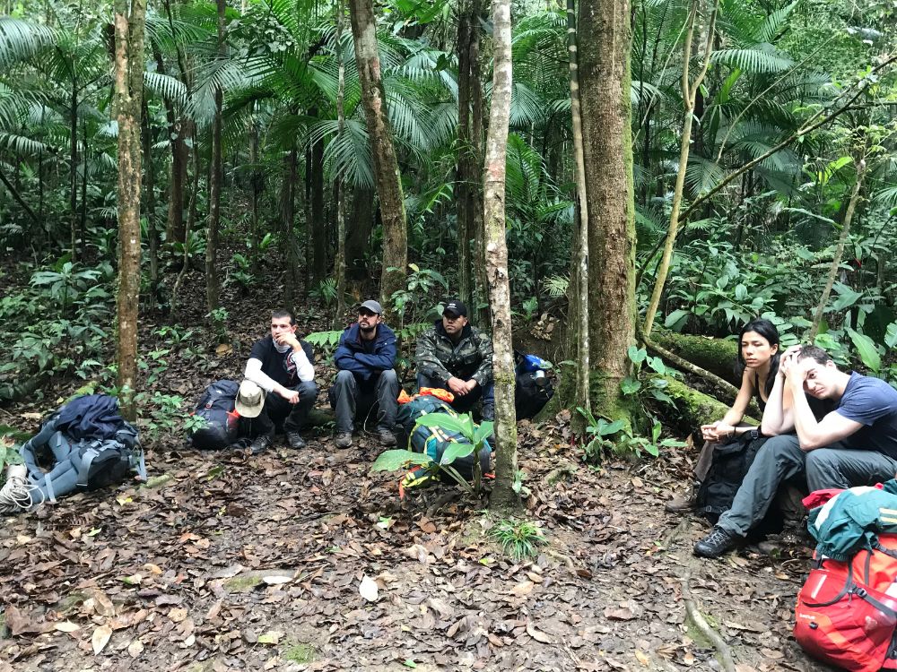 Sobrevivência na selva: Aprenda técnicas essenciais de sobrevivência em uma experiência única de 3 dias! 6