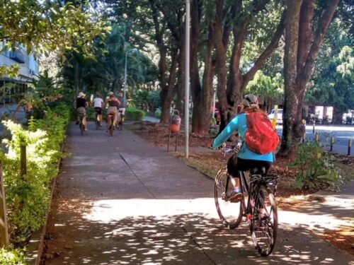 Preços baixos em Placa Bicycle Jogos tradicionais e de tabuleiro de  Fabricação Contemporânea