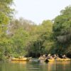 Passeio de Duck no Rio Formoso