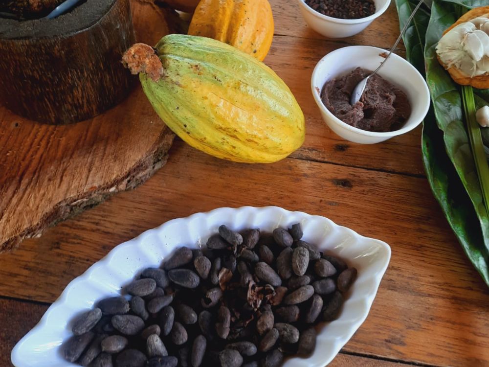 Aprecie o bucolismo da Floresta Amazônica na Ilha do Combu e deguste o chocolate local 4