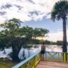 Imersão Amazônica: 5 dias de puro contato com a natureza