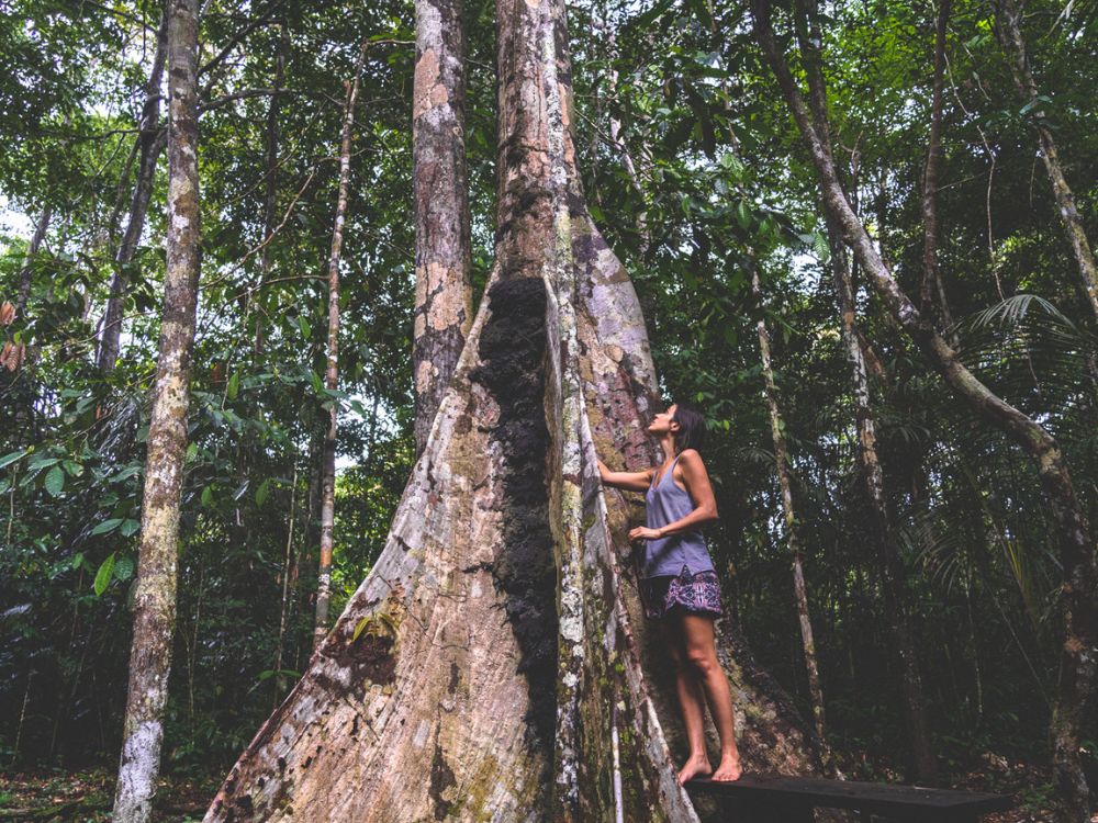 Imersão Amazônica: 5 dias de puro contato com a natureza 3