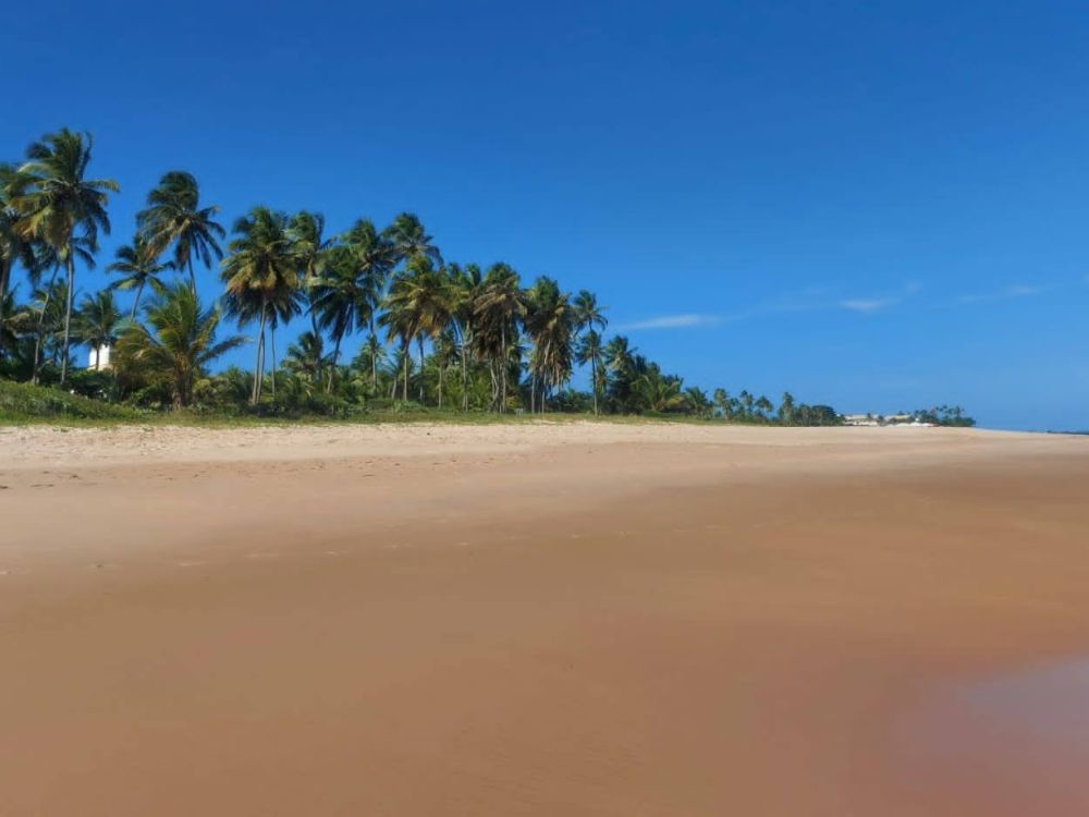 Descubra a essência da Bahia em um emocionante City Tour que combina história, cultura e o encanto das praias tropicais da Bahia Histórica 4
