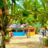 Descubra a magia da Baía de Todos-os-Santos em um tour pelas Ilhas Tropicais, Ilha dos Frades e Ilha de Itaparica