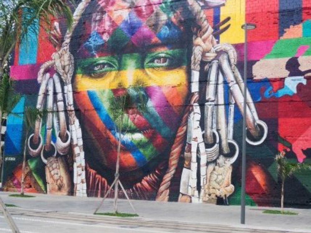 Aprecie a maravilhosa arte urbana carioca em um walking tour cheio de conhecimento e cores 1