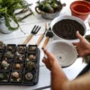 O despertar para a Ciência Botânica através do contato com o cultivo de plantas - Grupo Exclusivo para até 30 pessoas