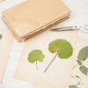Quadros que guardam memórias: aprenda técnicas para secar plantas e flores em uma experiência coletiva e artística - Grupo Exclusivo para até 30 pessoas