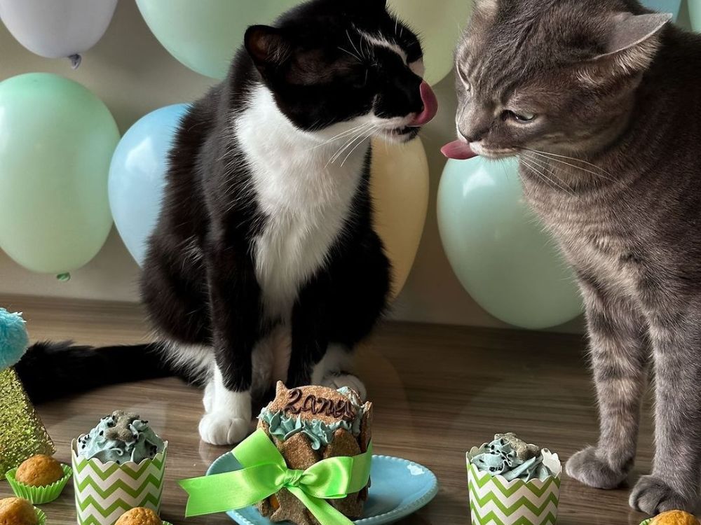 presente-dia-das-mães-2024