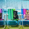 Bom para cachorro! Day use em dog club no coração da cidade de São Paulo por pet (cachorro) com 2 humanos incluídos