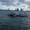 Conhecendo a Veneza Brasileira em um passeio de Catamarã por Recife