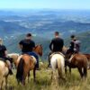 Reconecte-se com a natureza em um passeio à cavalo em Cambará do Sul