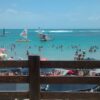 Tour em Porto de Galinhas com jangada! Conheça as piscinas naturais mais belas do Brasil