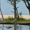 Conheça Amorim Tapajós, a jóia escondida da Amazônia!