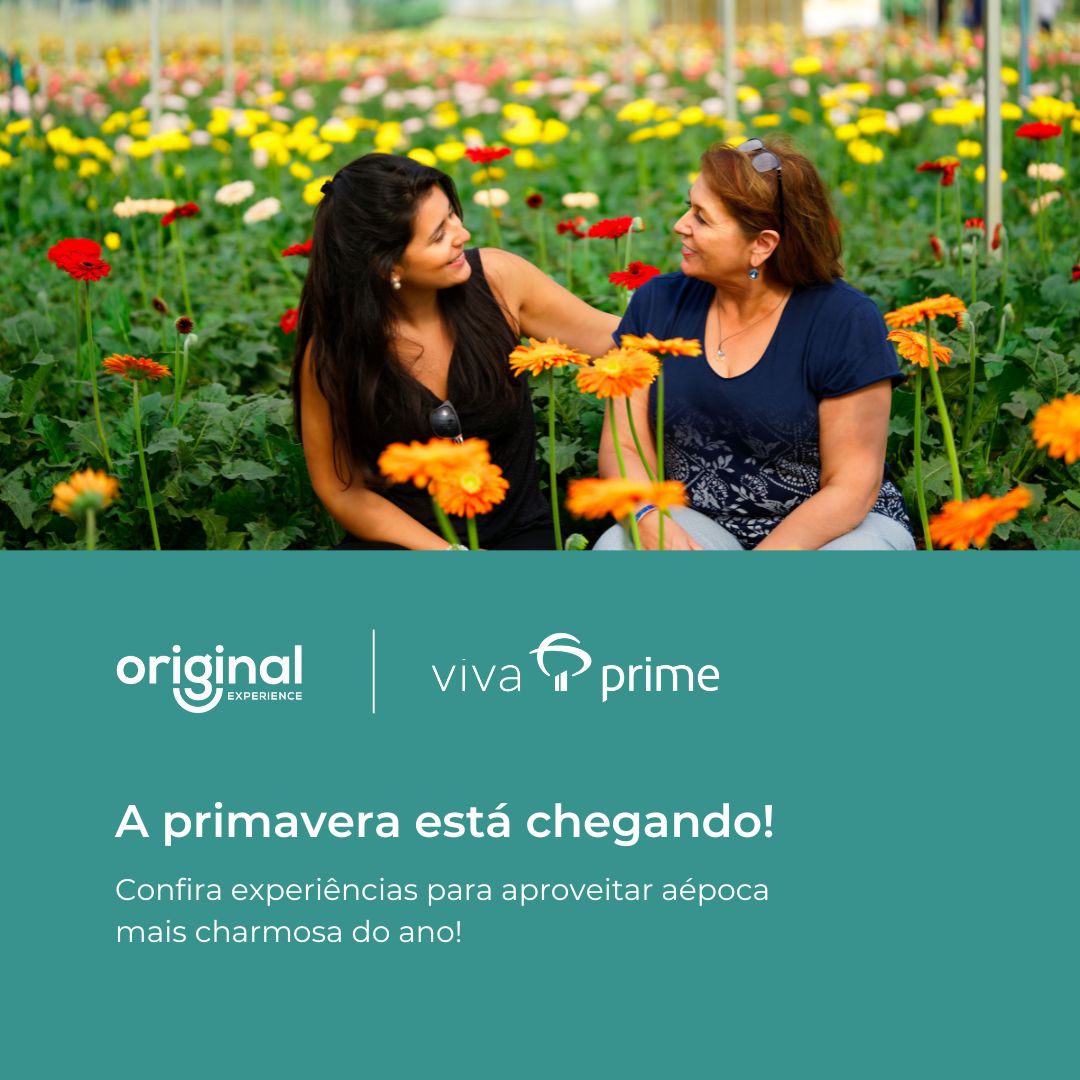 cliente-bradesco-prime-primavera