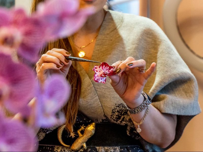 Eternizando Orquídeas: A Arte de Preservar Orquídeas Naturais 7