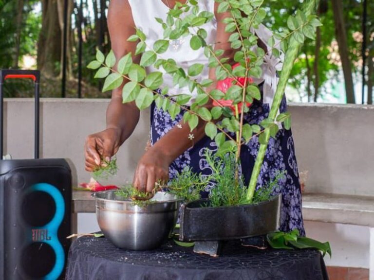 Ikebana A Poética do Florescer