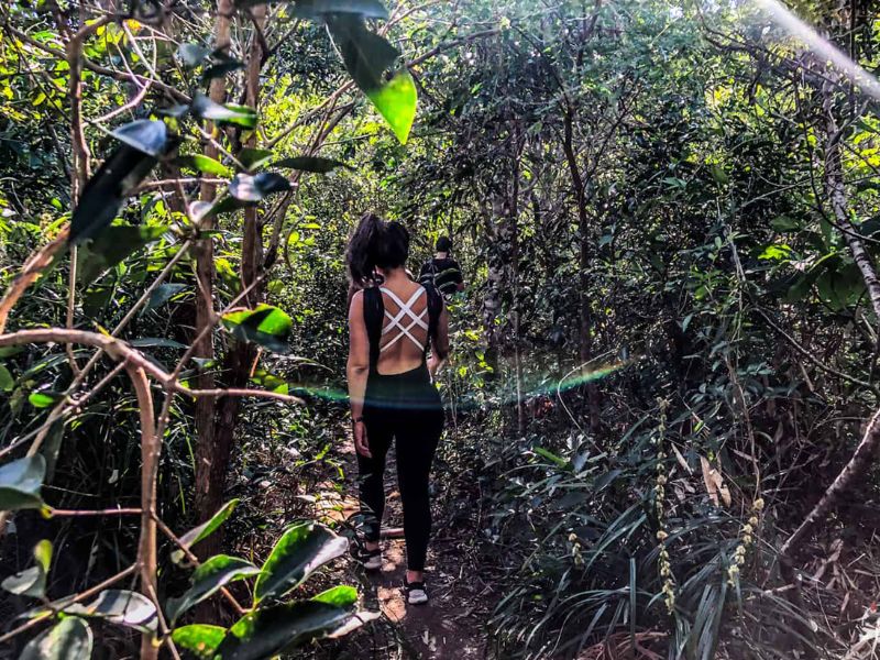 Trilha Dois Irmãos: O Mirante Mais Incrível do Rio - Imagem 2